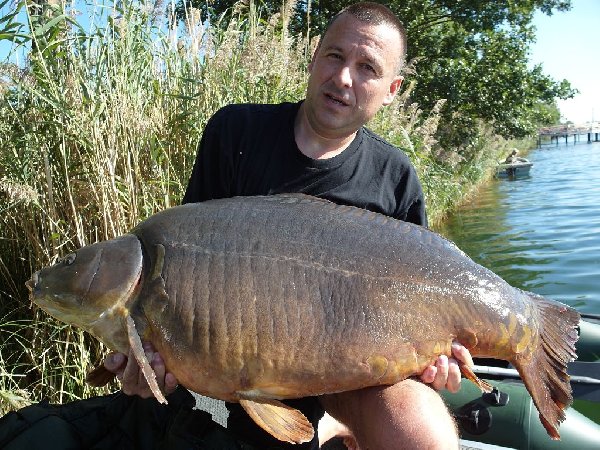 Karpfen 33,5 kg 2012