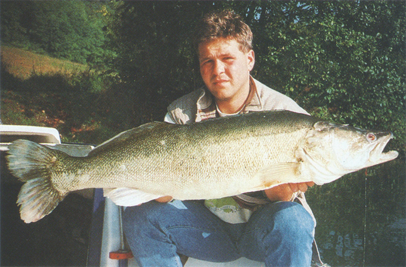 Zander 14,73 kg 1995